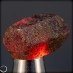 Natuurlijke Rode Robijn in Ruwe Vorm - Stralende Kracht van