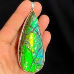 Geweldig - Zeer zeldzame Ammolite edelsteen!!! Enorme, Verzamelen, Mineralen en Fossielen