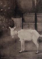 Jan Mankes (1889-1920) - Oude geit