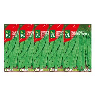 Bonen zaad | VT | 5 stuks (Staaksnijboon), Tuin en Terras, Bloembollen en Zaden, Verzenden