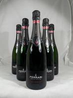 Cantine Ferrari, Maximum - Trentino Blanc de Blancs, Brut -, Verzamelen, Nieuw