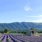 Fabio Accorrà - The colors of Provence, Antiek en Kunst