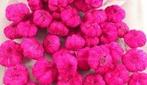 Beach fruit paras peepal cyclaam fuchs wild apple +/- 250gr, Ophalen of Verzenden, Nieuw