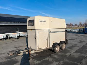 Westfalia 2-paards trailer LOW - Budget MARGE paardentrailer beschikbaar voor biedingen