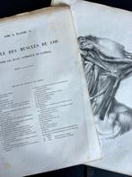 Lesmateriaal - Nicolas-Henri Jacob & Jean Baptiste Marc