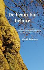 9789402162585 De beam fan belofte Gerrit Damsma, Verzenden, Nieuw, Gerrit Damsma