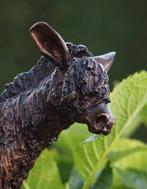 Bronzen Wollige baby-ezel - Unieke bronzen sculptuur, Huis en Inrichting, Verzenden, Nieuw