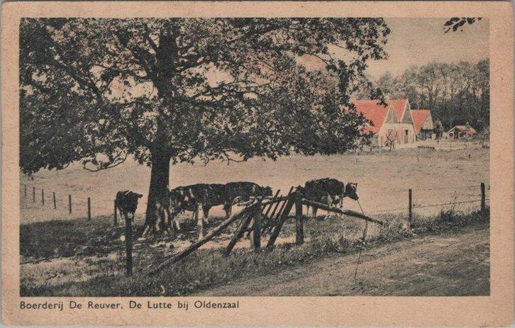 DE LUTTE - Boerderij De Reuver. De Lutte bij Oldenzaal, Verzamelen, Ansichtkaarten | Nederland, Verzenden