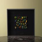 Kevers in Lijst Taxidermie Opgezette Dieren By Max, Verzamelen, Dierenverzamelingen, Ophalen of Verzenden, Nieuw, Insect, Opgezet dier