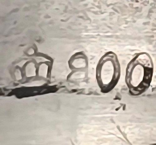 Wandelstok - .800 zilver, Antiek en Kunst, Antiek | Goud en Zilver