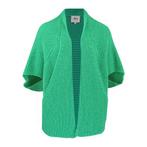 AVA studio • groen gebreid vest • XL, Kleding | Dames, Truien en Vesten, Nieuw, Groen, AVA studio, Maat 46/48 (XL) of groter