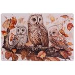 Metalen Plaatje - 3 Uilen op Boomtak - 20x30cm NIEUW, Huis en Inrichting, Ophalen of Verzenden, Nieuw
