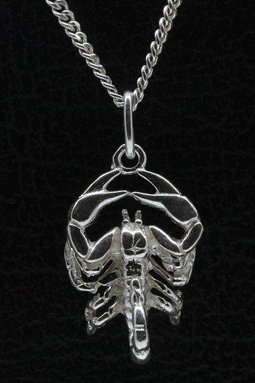 Zilveren Sterrenbeeld Schorpioen ketting hanger - groot, Sieraden, Tassen en Uiterlijk, Kettinghangers, Verzenden