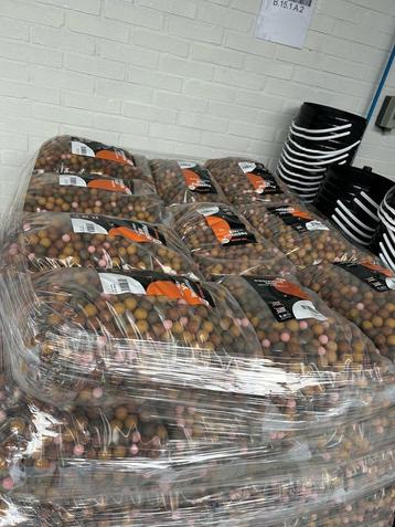 Voerboilies Vanaf €2,59/KG! beschikbaar voor biedingen