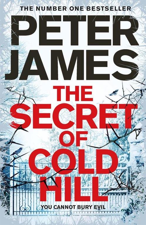 The Secret of Cold Hill 9781509816248 Peter James, Boeken, Taal | Engels, Gelezen, Verzenden