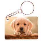 Sleutelhanger 6x4cm - Golden Retreiver Pup in Mand NIEUW, Nieuw, Ophalen of Verzenden