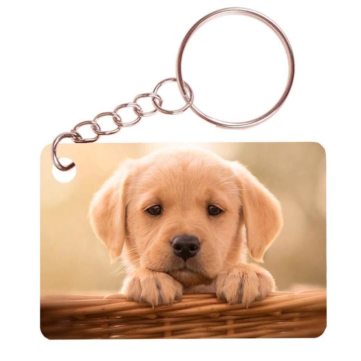 Sleutelhanger 6x4cm - Golden Retreiver Pup in Mand NIEUW, Verzamelen, Sleutelhangers, Nieuw, Ophalen of Verzenden