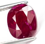 Robijn - 3.00 ct - Lotus Gemology - Rood (geen warmte,, Nieuw
