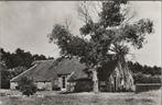 TERSCHELLING - Boerderij, Verzenden, Gelopen