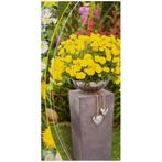 Lifetime Plantenbak met beton-look en verchroomde bowl -..., Tuin en Terras, Ophalen of Verzenden, Nieuw