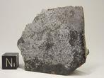 Nativ Iron Bühl / Kassel GEEN meteoriet - 24.3 g