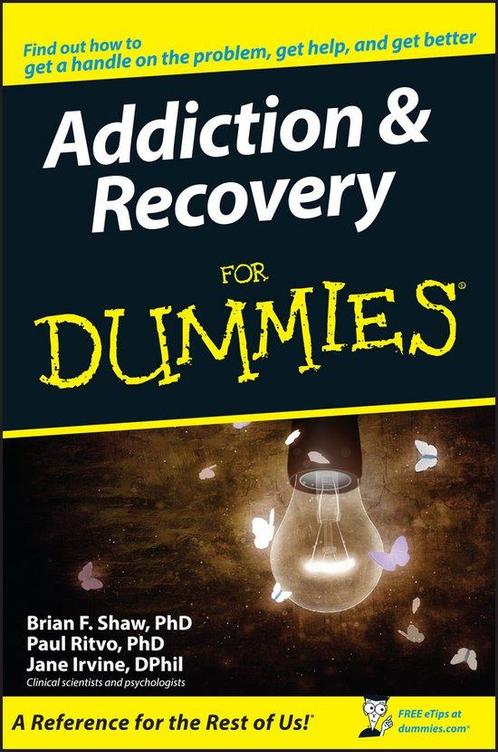 Addiction and Recovery For Dummies 9780764576256 Paul Ritvo, Boeken, Overige Boeken, Gelezen, Verzenden