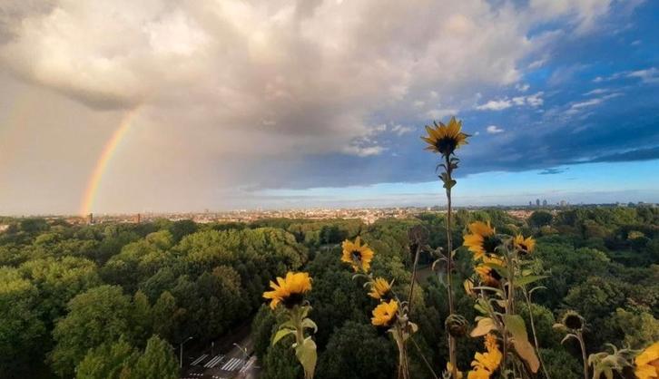 Te huur: Appartement Nachtwachtlaan in Amsterdam, Huizen en Kamers, Huizen te huur, Noord-Holland, Appartement