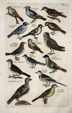 Matthäus I Merian (1593-1650) - 2 Folios with engravings of, Antiek en Kunst