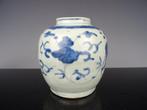Vaas - Porselein - China - Ming Dynastie (1368-1644) - Ming, Antiek en Kunst