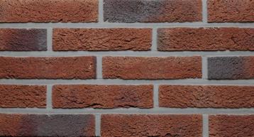 art. 8264 handvorm rood bont nuance gevelstenen beschikbaar voor biedingen