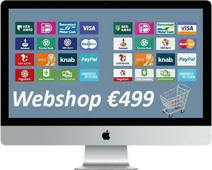 Webshop laten maken voor maar €649,-  succesvol., Diensten en Vakmensen, Webdesigners en Hosting, Domeinregistratie, Webdesign