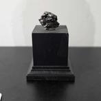 Prachtige Campo Del Cielo ijzer meteoriet - Op mooie sokkel