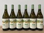 2020 Vietti Timorasso - Derthona - Colli Tortonesi - 6, Nieuw
