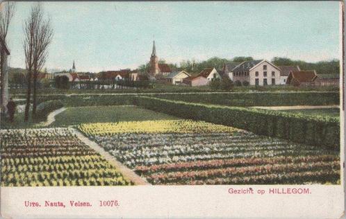 HILLEGOM - Gezicht op Hillegom, Verzamelen, Ansichtkaarten | Nederland, Verzenden