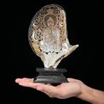 Gegraveerde parelmoer schelp - Boeddha-motief - Zeeschelp -