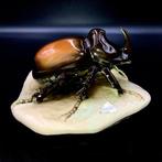 Royal Dux, Bohemia - Rhinoceros Beetle - ca 1965 - Beeldje, Antiek en Kunst