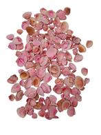Tiger Chippy Schelpen Roze 500 gram, Ophalen of Verzenden, Nieuw