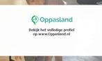 Lisa-Bo zoekt een oppas in Meppel voor 2 kinderen., Vacatures, Vacatures | Administratief en Secretarieel