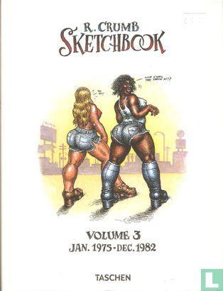 R. Crumb Sketchbook - R.Crumb Sketchbook 3 - Jan. 1975 -..., Boeken, Stripboeken, Zo goed als nieuw, Eén stripboek, Verzenden