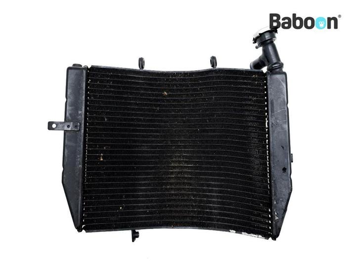 Radiateur Triumph Daytona 675 2006-2008 (VIN<381274), Motoren, Onderdelen | Overige, Gebruikt, Verzenden