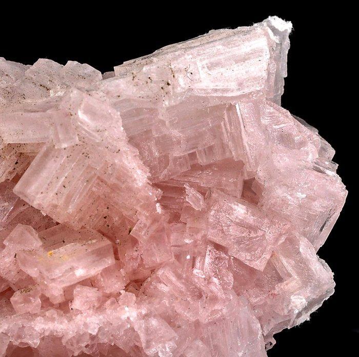 Wonderbaarlijke nieuwe roze Haliet op Trona uit de VS -, Verzamelen, Mineralen en Fossielen