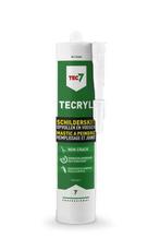Tec7 tecryl professionele schilderskit 310 ml, wit, koker, Doe-het-zelf en Verbouw, Isolatie en Afdichting, Verzenden, Nieuw