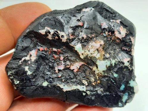Huge - 293 ct - Natuurlijke zwarte opaal Houtfossiel -, Verzamelen, Mineralen en Fossielen