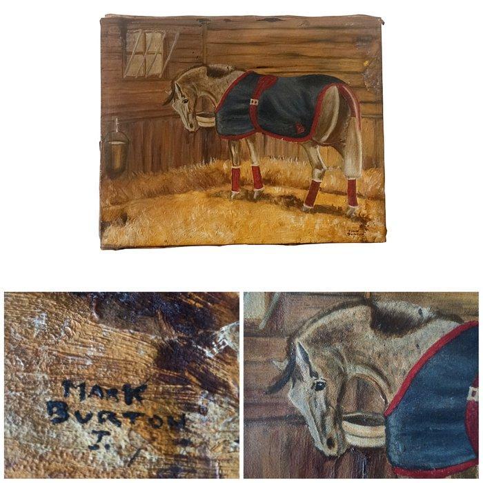 Scuola Inglese (XIX) - Firmato Mark Burton - Cavallo da, Antiek en Kunst, Curiosa en Brocante