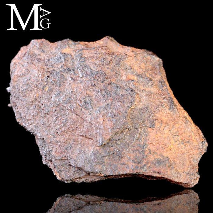 Meteorietkloof Diablo – De bekendste krater ter wereld, Antiek en Kunst, Curiosa en Brocante