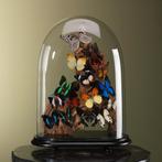 Vlinders in Stolp Taxidermie Opgezette Dieren By Max, Verzamelen, Dierenverzamelingen, Ophalen of Verzenden, Nieuw, Insect, Opgezet dier