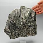 Enorme ACTINOLIET GROEN, ALPINO, 100+ kristallen Kristallen, Verzamelen