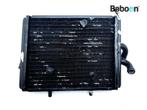 Radiateur Piaggio | Vespa Carnaby 300 IE Cruiser 2009-2013, Motoren, Verzenden, Gebruikt