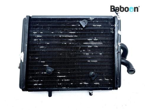 Radiateur Piaggio | Vespa Carnaby 300 IE Cruiser 2009-2013, Motoren, Onderdelen | Overige, Gebruikt, Verzenden