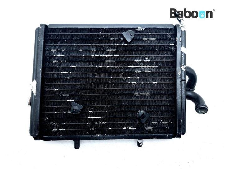 Radiateur Piaggio | Vespa Carnaby 300 IE Cruiser 2009-2013, Motoren, Onderdelen | Overige, Gebruikt, Verzenden